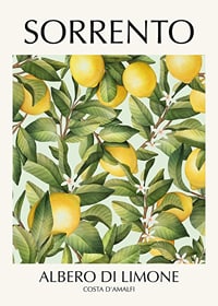 Illustration of lemon tree with yellow fruits and green leaves-1