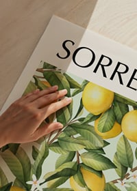 Illustration of lemon tree with yellow fruits and green leaves-3