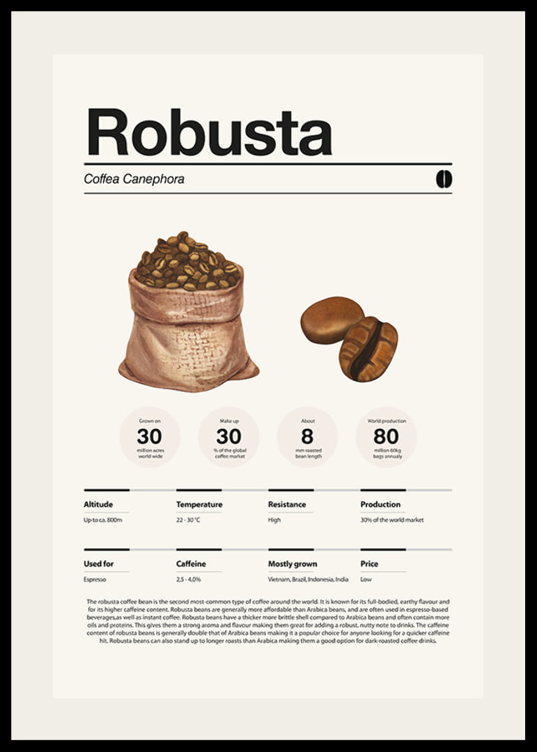 Kuvitettu kahvipussi ja robusta-papuja vaaleaa taustaa vasten-12