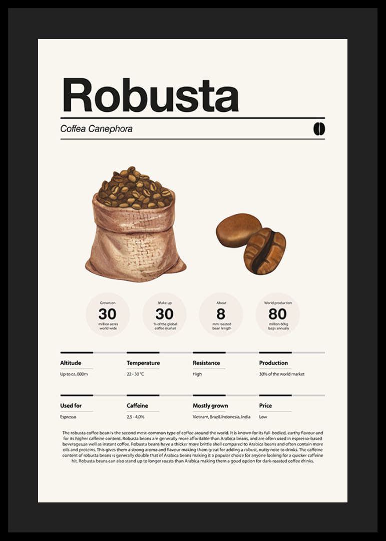 Kuvitettu kahvipussi ja robusta-papuja vaaleaa taustaa vasten-12