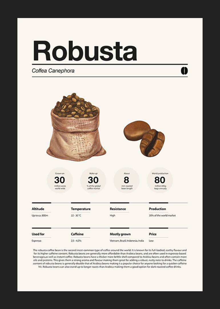 Kuvitettu kahvipussi ja robusta-papuja vaaleaa taustaa vasten-12