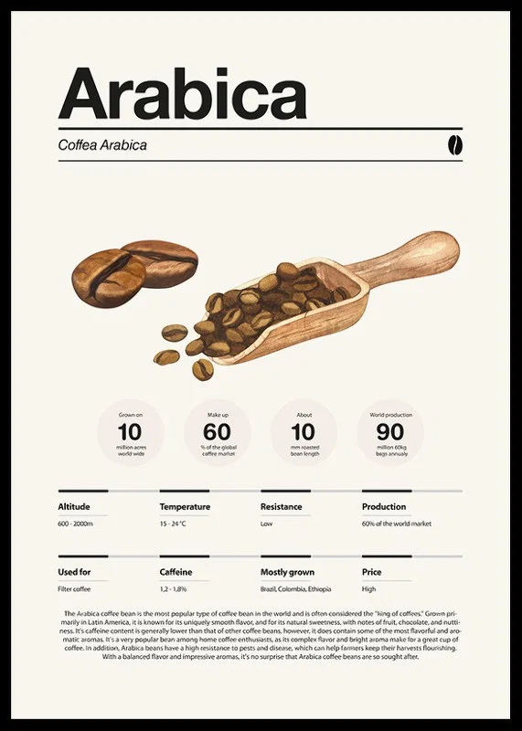Illustrated arabica beans with wooden scoop on light background-12