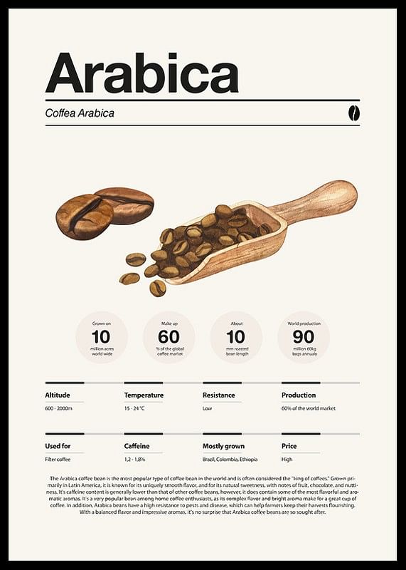 Arabica Coffee Beans-12