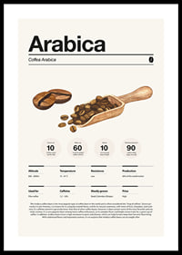 Ilustrētas arabikas pupiņas ar koka kausiņu uz gaiša fona-0