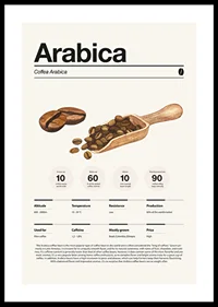 Illustrated arabica beans with wooden scoop on light background-0