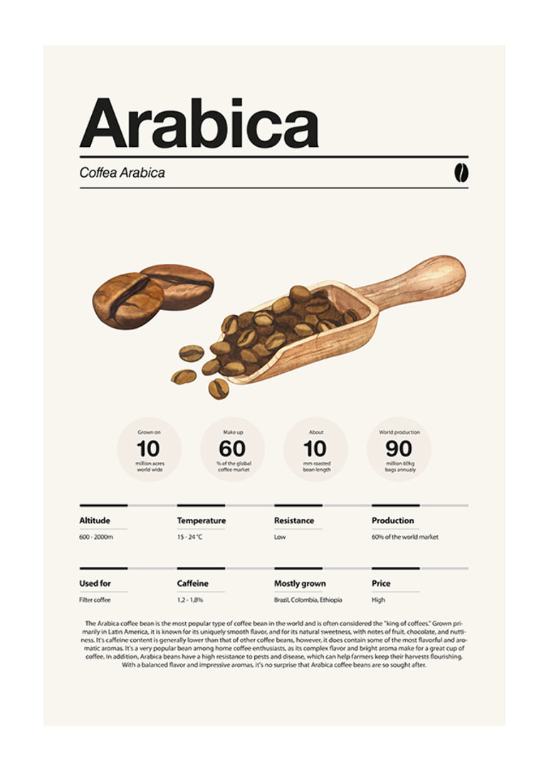 Ilustrētas arabikas pupiņas ar koka kausiņu uz gaiša fona-12