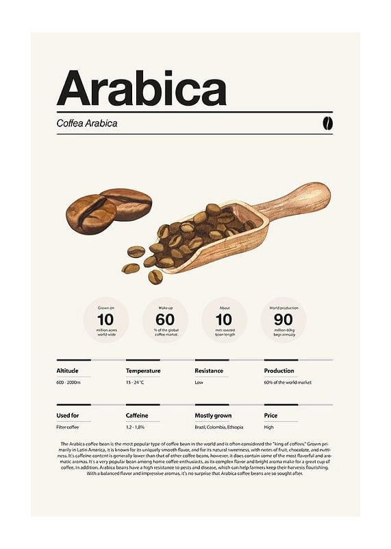 Plagát Arabica Coffee Beans