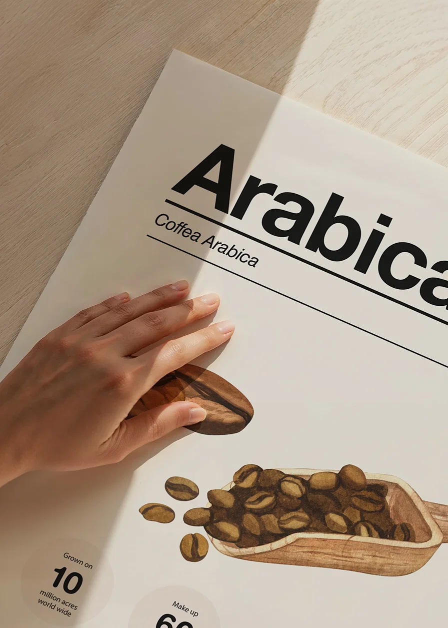 Illustrated arabica beans with wooden scoop on light background-12