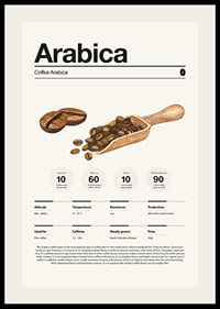 Ilustrētas arabikas pupiņas ar koka kausiņu uz gaiša fona-2