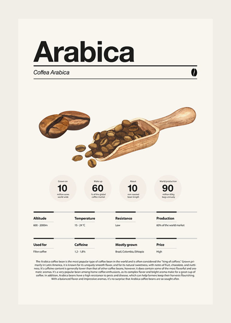 Ilustrētas arabikas pupiņas ar koka kausiņu uz gaiša fona-12