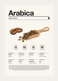 Illustrated arabica beans with wooden scoop on light background-3