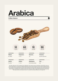 Iliustruotos arabikos pupelės su mediniu samteliu šviesiame fone-3