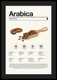 Illustrated arabica beans with wooden scoop on light background-4