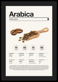 Iliustruotos arabikos pupelės su mediniu samteliu šviesiame fone-4