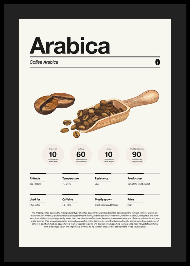 Iliustruotos arabikos pupelės su mediniu samteliu šviesiame fone-12