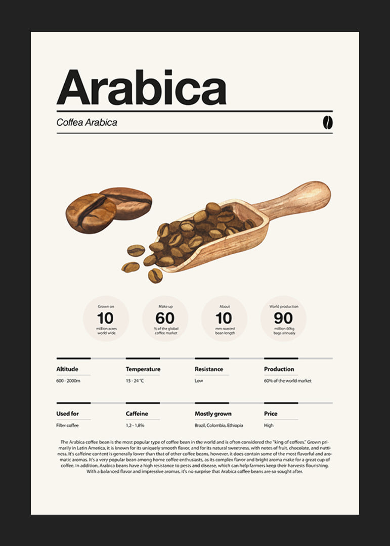 Ilustrētas arabikas pupiņas ar koka kausiņu uz gaiša fona-12