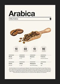 Illustrated arabica beans with wooden scoop on light background-5