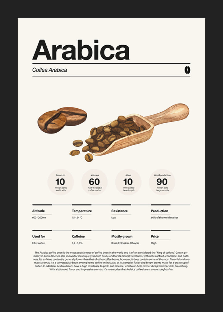 Iliustruotos arabikos pupelės su mediniu samteliu šviesiame fone-12