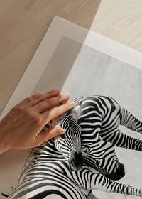 Zebras B&W-5