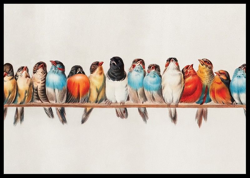 Birds In A Row Landscape-12