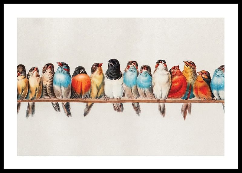 Birds In A Row Landscape-12