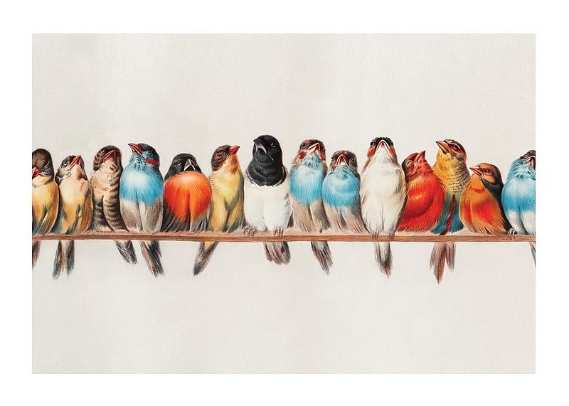 Birds In A Row Landscape-12