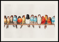 Petits oiseaux illustrés alignés sur une branche, couleurs vives-2