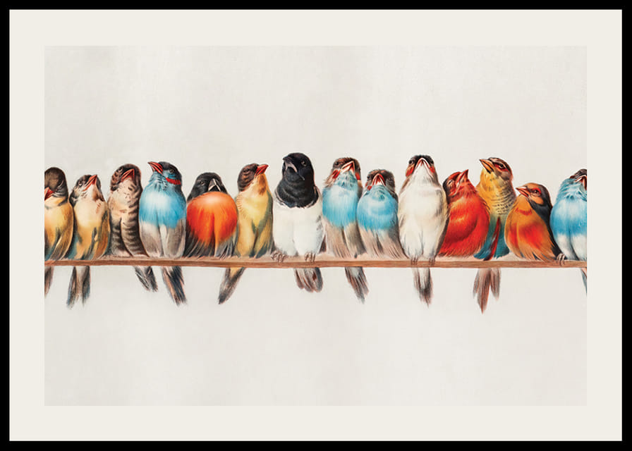 Petits oiseaux illustrés alignés sur une branche, couleurs vives-12