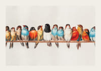 Petits oiseaux illustrés alignés sur une branche, couleurs vives-3