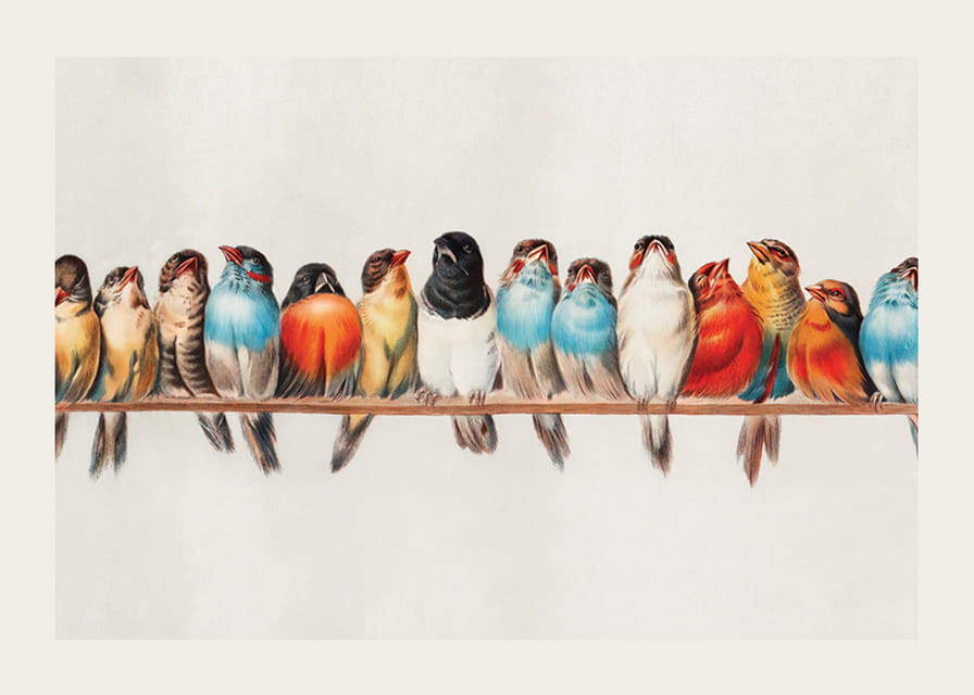 Petits oiseaux illustrés alignés sur une branche, couleurs vives-12