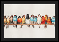 Petits oiseaux illustrés alignés sur une branche, couleurs vives-4