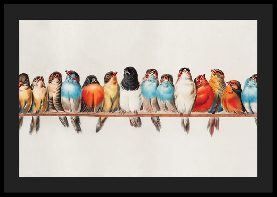 Petits oiseaux illustrés alignés sur une branche, couleurs vives-12