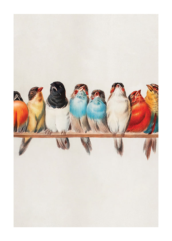 Plakāts Birds In A Row Portrait
