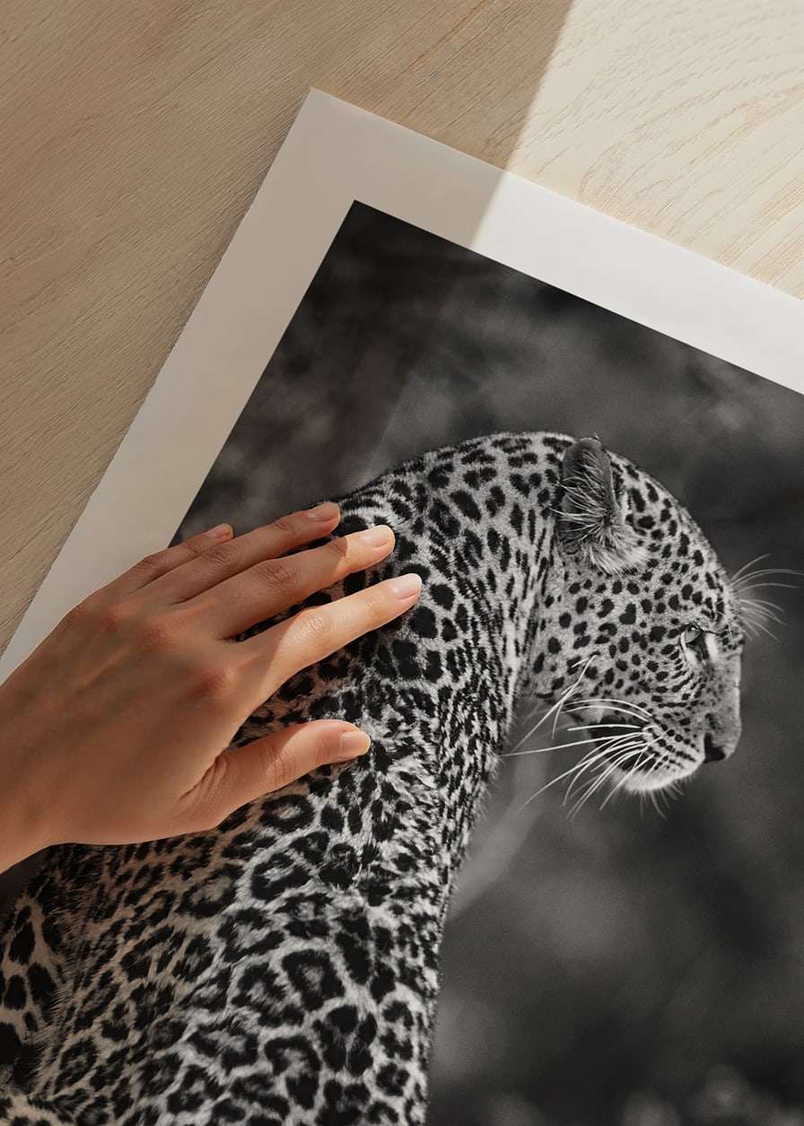 Black and white close-up of sitting jaguar in profile against blurred nature-12