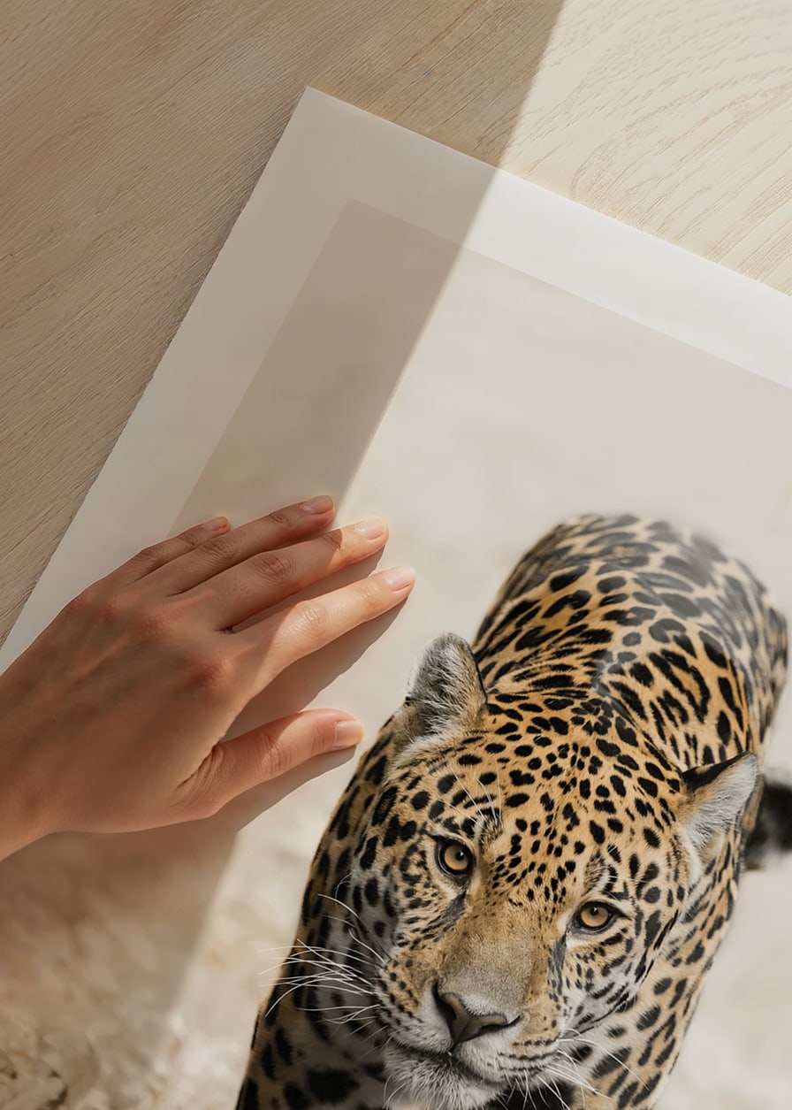 Fotografisk jaguar går rakt fram mot kameran, naturtoner-12