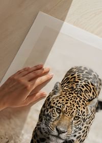 Jaguar-5