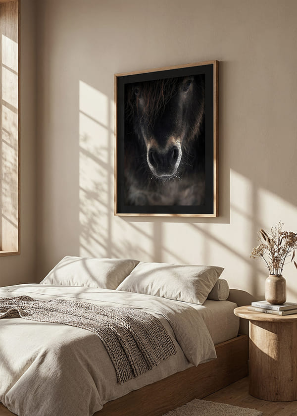 Poster Horse Mule crossfade