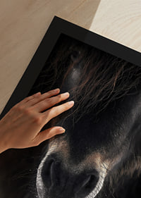 Close-up of horse mule in dark brown and black tones-9
