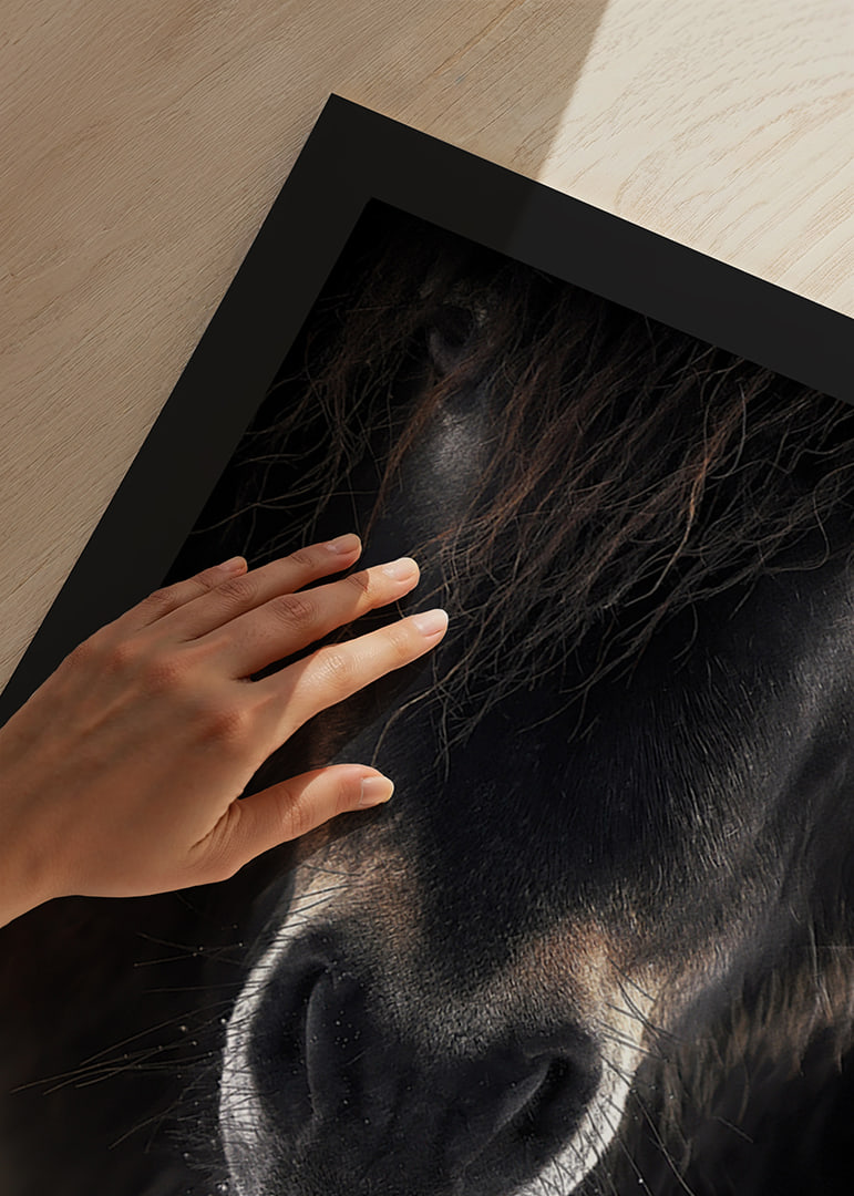 Close-up of horse mule in dark brown and black tones-12
