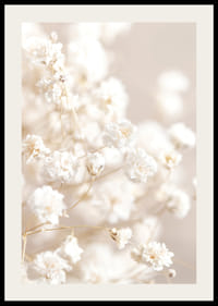 Närbild av vita brudslöja-blommor mot beige bakgrund-2