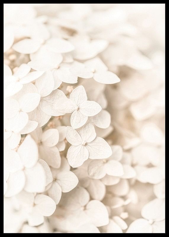 Boho Flowers No3-12