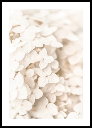 Poster Boho Flowers No3