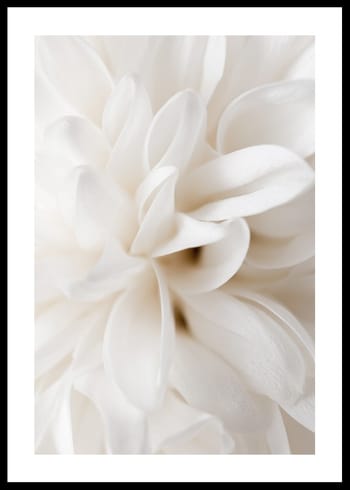 Poster Boho Flowers No2