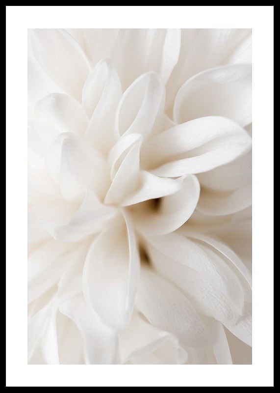 Boho Flowers No2-12