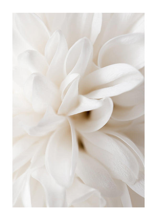 Plakāts Boho Flowers No2