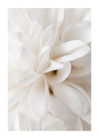 Boho Flowers No2-1