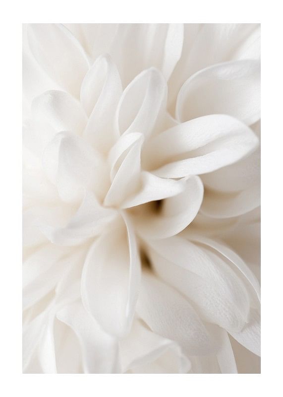 Boho Flowers No2-12