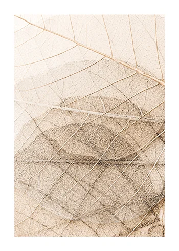 Poster Layers Of Thin Leaves