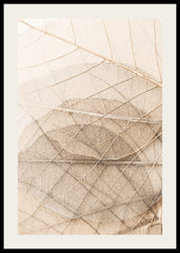 Close-up van dunne bladeren in lagen met fijne nerven, beige tinten-2