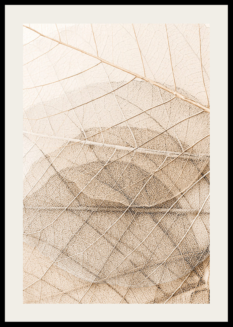 Close-up van dunne bladeren in lagen met fijne nerven, beige tinten-12